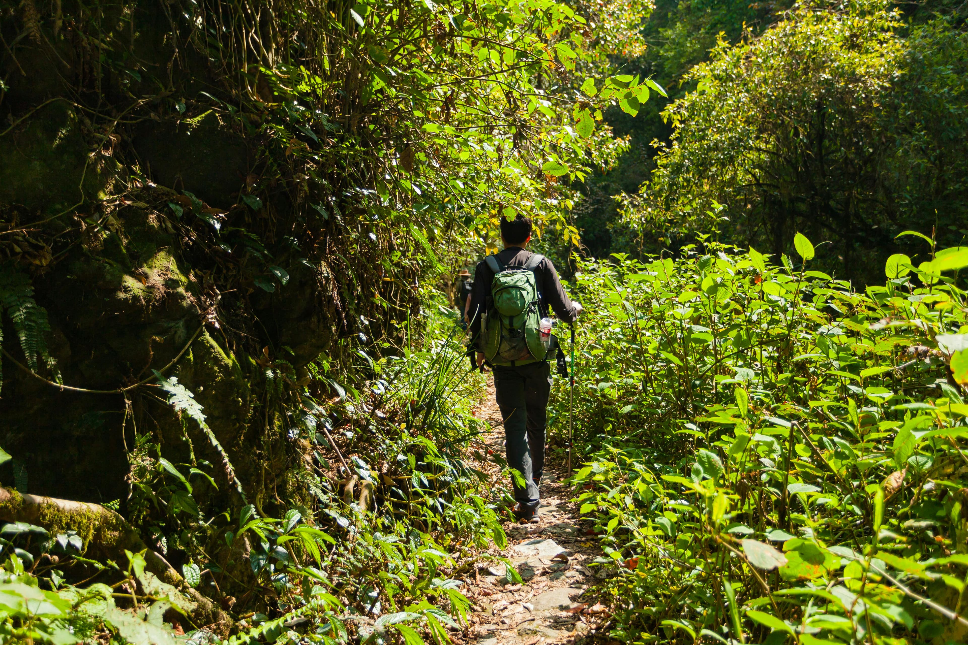 Panchase Trek